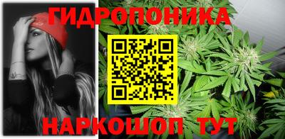 бошки Донской