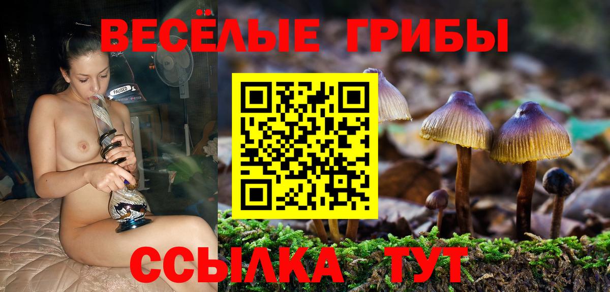 Псилоцибиновые грибы Cubensis Нерюнгри