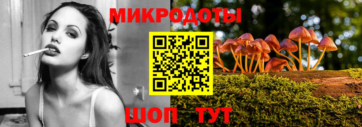 Псилоцибиновые грибы Cubensis  Вход с VPN  Нерюнгри 